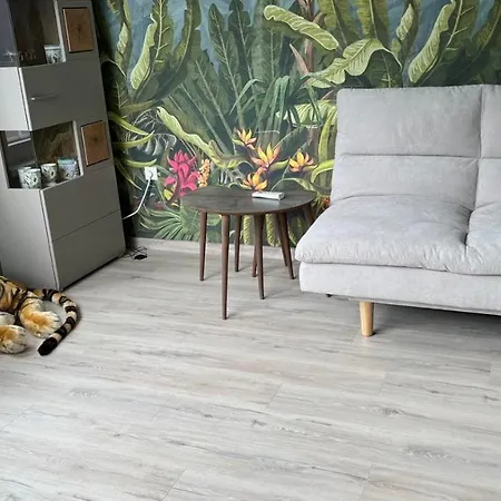 Apartman Sunrise Smart Várna